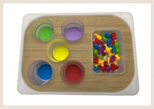 ✨ Modelo Lena Ordena (max) ✨