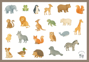 ✨ Mini Lince Animales ✨