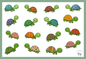 ✨ Caparazón gemelo ✨